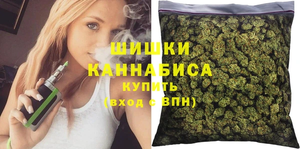 прущий лед Вяземский