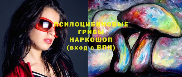 экстази Дмитриев