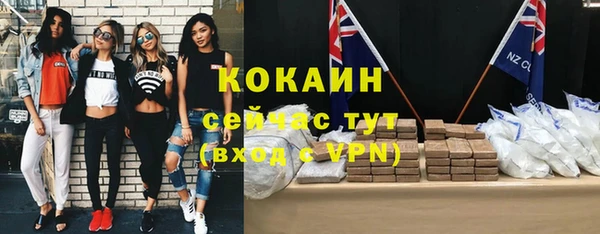 тгк Ельня